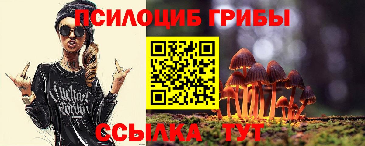 Галлюциногенные грибы мицелий  купить наркотики цена  Сафоново  Вход с VPN 